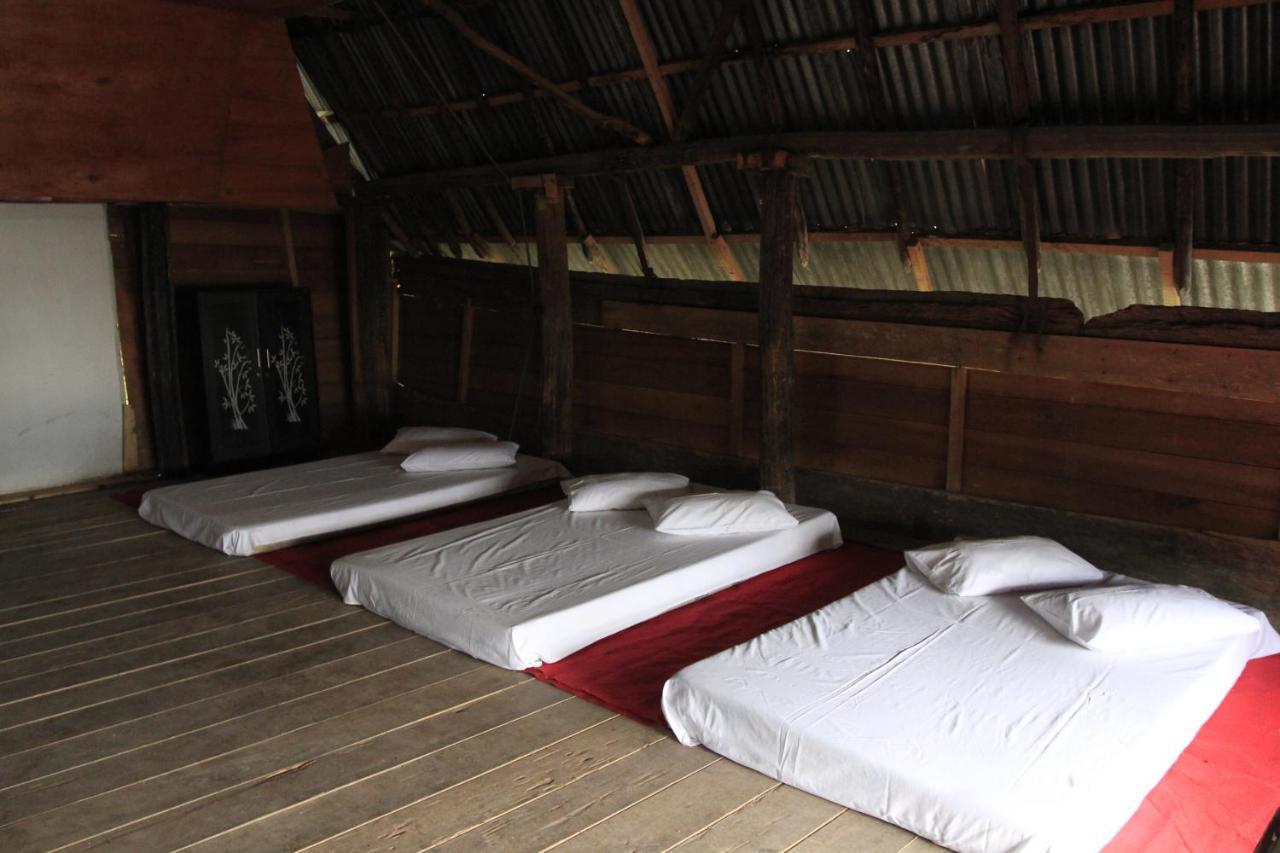 Sony Cottage Samosir Island 外观 照片